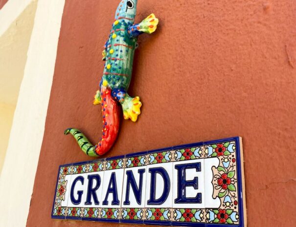 El Gecko Grande Benalmadena (14)